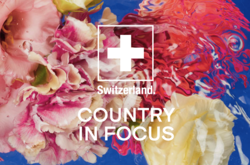 Design ohne Titel (2)